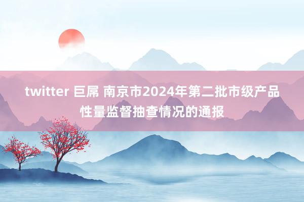 twitter 巨屌 南京市2024年第二批市级产品性量监督抽查情况的通报