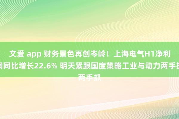 文爱 app 财务景色再创岑岭！上海电气H1净利润同比增长22.6% 明天紧跟国度策略工业与动力两手抓