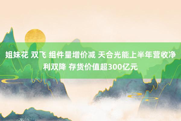 姐妹花 双飞 组件量增价减 天合光能上半年营收净利双降 存货价值超300亿元