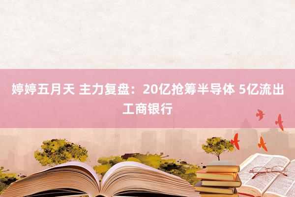 婷婷五月天 主力复盘：20亿抢筹半导体 5亿流出工商银行