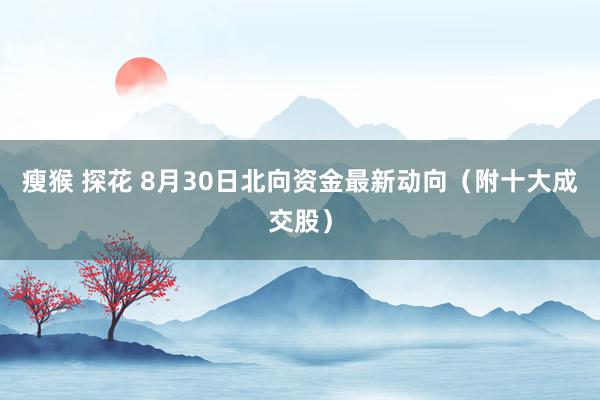 瘦猴 探花 8月30日北向资金最新动向(附十大成交股)