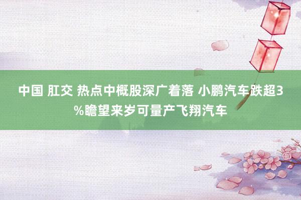 中国 肛交 热点中概股深广着落 小鹏汽车跌超3%瞻望来岁可量产飞翔汽车