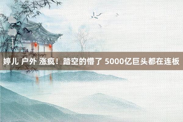 婷儿 户外 涨疯！踏空的懵了 5000亿巨头都在连板