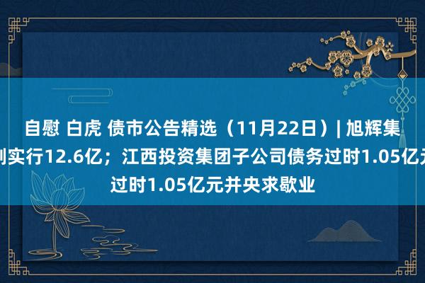 自慰 白虎 债市公告精选（11月22日）| 旭辉集团等新增强制实行12.6亿；江西投资集团子公司债务过时1.05亿元并央求歇业