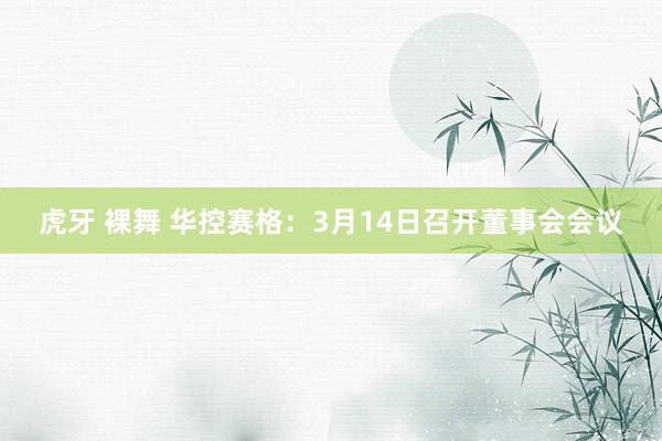 虎牙 裸舞 华控赛格：3月14日召开董事会会议