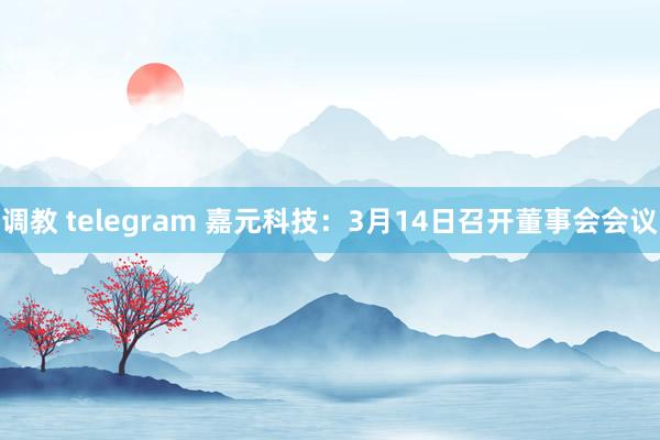 调教 telegram 嘉元科技：3月14日召开董事会会议