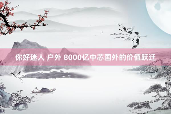 你好迷人 户外 8000亿中芯国外的价值跃迁