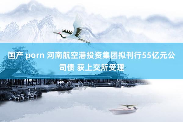 国产 porn 河南航空港投资集团拟刊行55亿元公司债 获上交所受理
