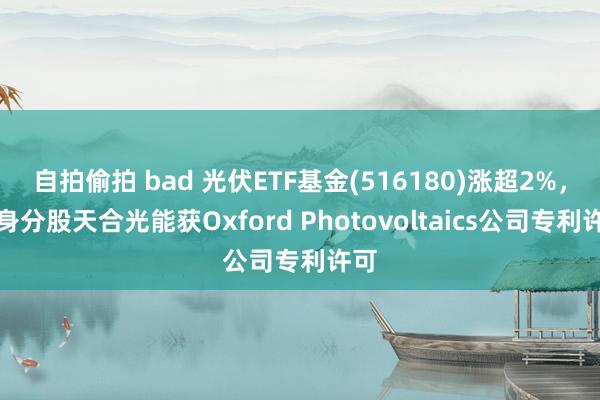 自拍偷拍 bad 光伏ETF基金(516180)涨超2%，其身分股天合光能获Oxford Photovoltaics公司专利许可